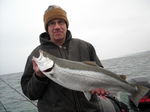 11 pound brown