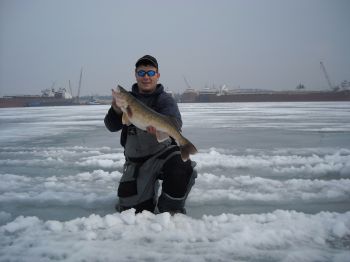ANDREW WALLEYE