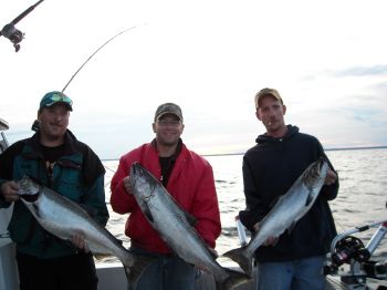 Firkus Salmon