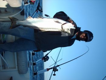 Nice Fish