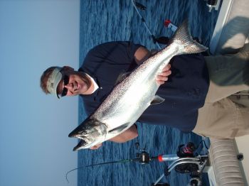 Nice King!