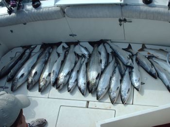 Salmon on Deck 3
