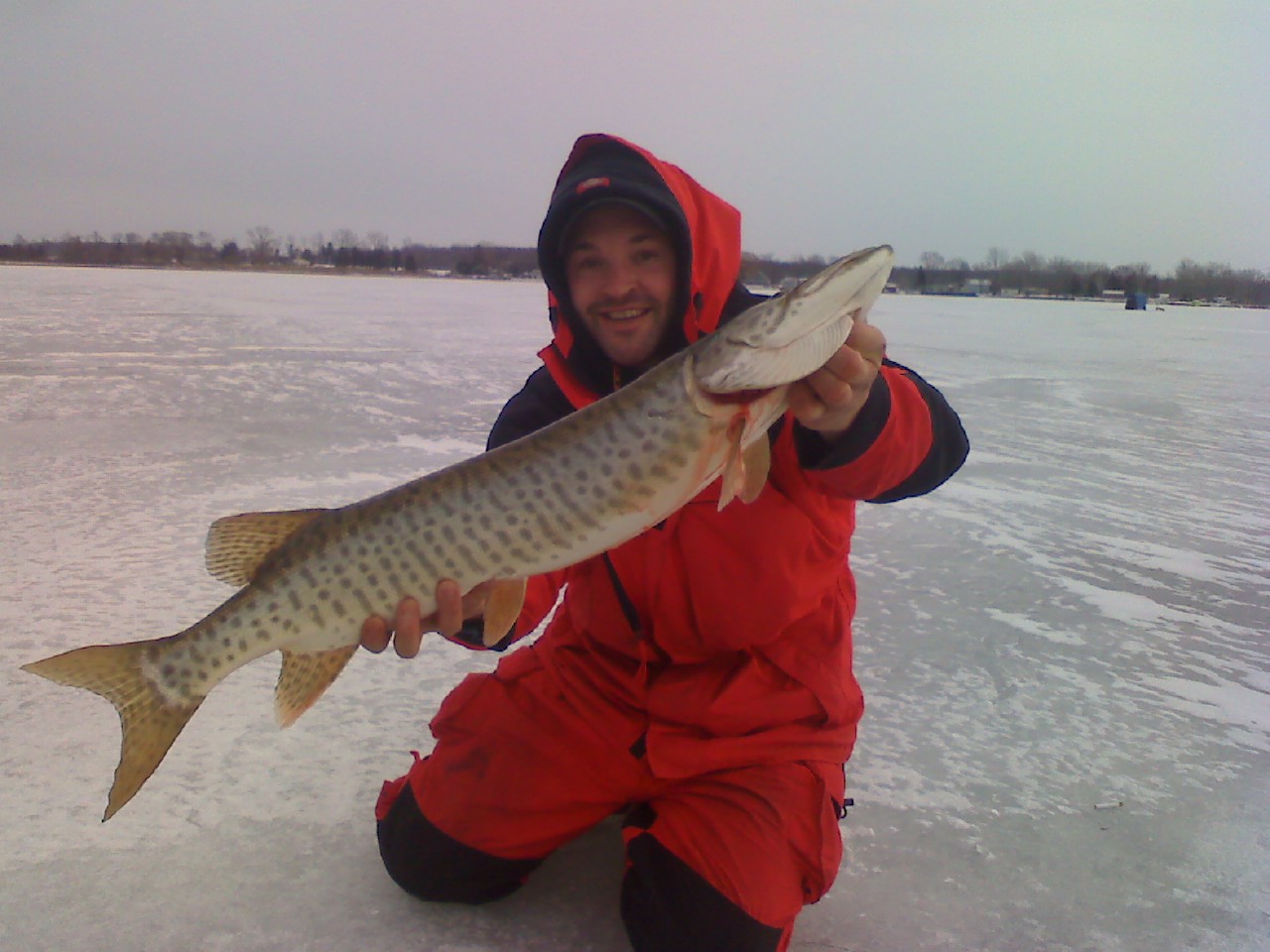 musky